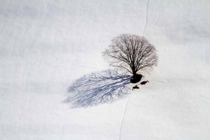 39-paysage-d-hiver-photo-arbre-et-neige