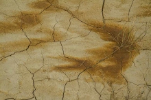 Desert-des-Bardenas-Espagne-terre-craquelée