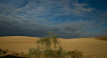 Desert-des-Bardenas-Reales-Espagne-et-végétation