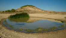 desert-bardenas-oasis-photo-paysage