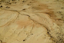 desert-bardenas-terre-ravinée-photo-flore