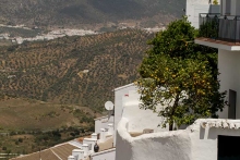 photo-paysage-oranger--Zahara-de-la-sierra-Andalousie-Espagne